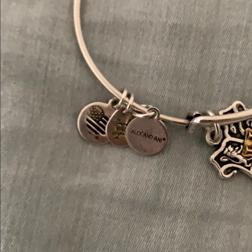 Harry Potter Hogwarts Alex And Ani Gem